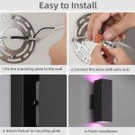 KIZON Smart RGB Outdoor Sconce Lights (2 Pack)