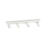 Rudy 4-Spot Indoor Ceiling Light in White