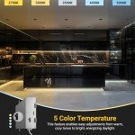 3" LED Gimbal Downlight, 4 Pack, Dimmable