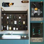 LED Bathroom Medicine Cabinet with Mirror and Lights