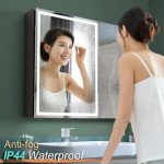 LED Bathroom Medicine Cabinet with Mirror and Lights