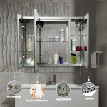 Janboe Wall-Mounted Mirror Cabinet with Light