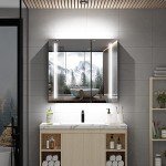 Tokvon® Black Wall-Mounted LED Mirror Cabinet