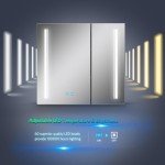Tokvon® Black Wall-Mounted LED Mirror Cabinet