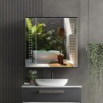 LED Bathroom Mirror Cabinet with Touch Dimmer 650x600 mm