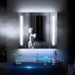 Tokvon® Alameda LED Illuminated Bathroom Mirror Cabinet