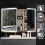 LED Bathroom Mirror Cabinet with Double Doors