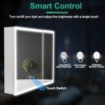 LED Bathroom Mirror Cabinet with Double Doors