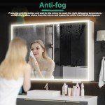 LED Bathroom Mirror Cabinet with Double Doors