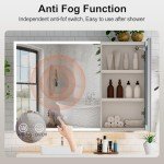 Large Wall-Mounted Bathroom Cabinet with LED Mirror