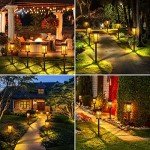 KOOPER 12-Pack Solar Pathway Lights - Bright Outdoor Illumination