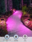 LEONLITE Smart LED Landscape Pathway Lights, 6 Pack