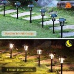 12 Pack Solar Powered Pathway Lights - Super Bright