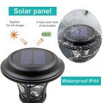 12 Pack Solar Powered Pathway Lights - Super Bright