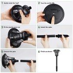 12 Pack Solar Powered Pathway Lights - Super Bright