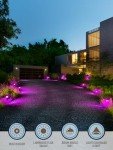 LEONLITE 8-Pack Low Voltage LED Path Lights