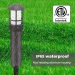 12-Pack Outdoor LED Landscape Pathway Lights