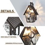 Designer Outdoor Wall Lantern with Water Glass