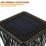 Solar Outdoor Floor Lamp for Yard and Garden