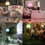 NiceBuy Adjustable Solar Outdoor Floor Lamp