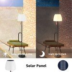 NiceBuy Adjustable Solar Outdoor Floor Lamp