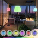 NiceBuy Adjustable Solar Outdoor Floor Lamp