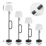NiceBuy Adjustable Solar Outdoor Floor Lamp