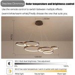 Modern LED Dimmable Pendant Lamp with Remote