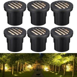 LEONLITE 6W LED In-Ground Landscape Well Lights