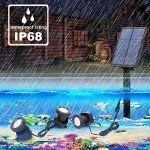 Solar Pond Lights with 3 Submersible Lamps