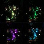 Solar Pond Lights with 3 Submersible Lamps