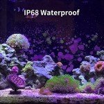 Bright Waterproof Solar Pond Lights – Set of 3