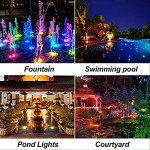 Bright Waterproof Solar Pond Lights – Set of 3