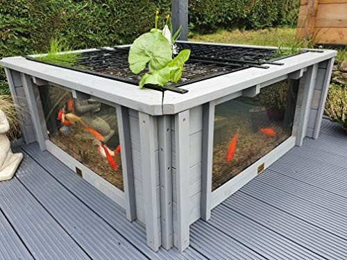 Clear View Garden Aquarium