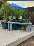 Light Grey Square Raised Garden Pond with Windows