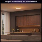 Philips Hue Datura Smart Ceiling Light Panel