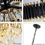 Gold and Black Modern Crystal Chandelier Fixture