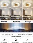 Dimmable LED Ceiling Light with Remote Control