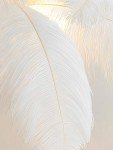Modern Ostrich Feather Floor Lamp for Living Room