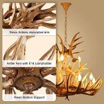 Vintage Antler Chandelier with 12 E14 Lights