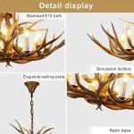 Antler Chandelier Light Fixture for Home Décor