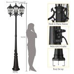 Outdoor 3-Head Black Lamp Post Light