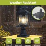 Osimir 16" Dusk to Dawn Solar Post Light