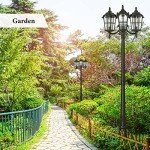 Outdoor 3-Head Black Lamp Post Light
