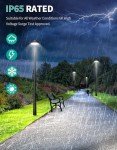 100W LED Circle Area Light for Outdoor Use