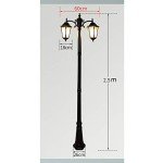 Antique Outdoor Landscape Post Light with 2 Heads