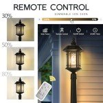 Emliviar 82" Solar LED Street Lamp with Remote