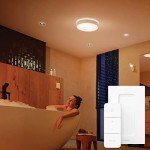 Philips Hue Devere White Ambiance Smart Ceiling Light