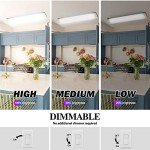 Dimmable 2FT LED Ceiling Light - 2 Pack