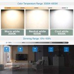 Modern Dimmable 4-Ring LED Pendant Light